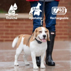 PetSafe ANTI ABOIEMENT SONORE RECHARGEABLE -Chasse Fournitures Boutique anti aboiement sonore rechargeable 3