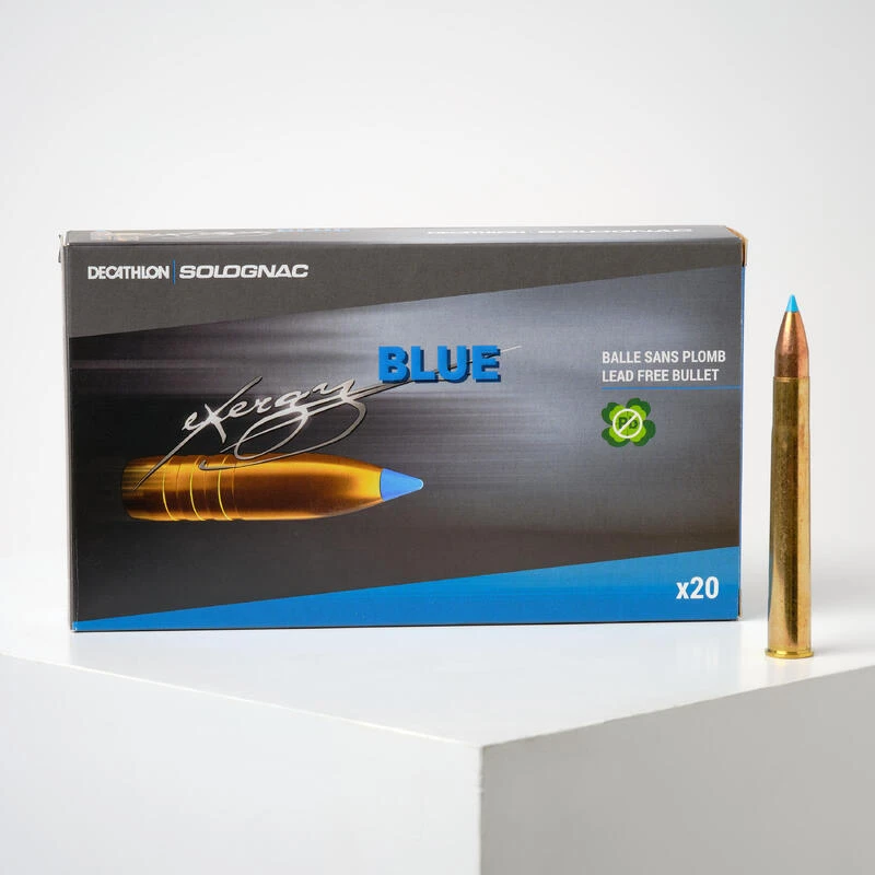 BALLE EXERGY 9,3X74R SANS PLOMB 250 Grains/16,2 Grammes 1 BALLE EXERGY 9,3X74R SANS PLOMB 250 Grains/16,2 Grammes