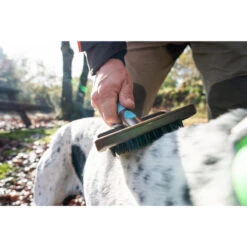 No Brand BROSSE DE MASSAGE POUR CHIEN -Chasse Fournitures Boutique brosse de massage pour chien 3