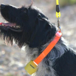 Cloche ALP Jaune -Chasse Fournitures Boutique cloche alp jaune 2