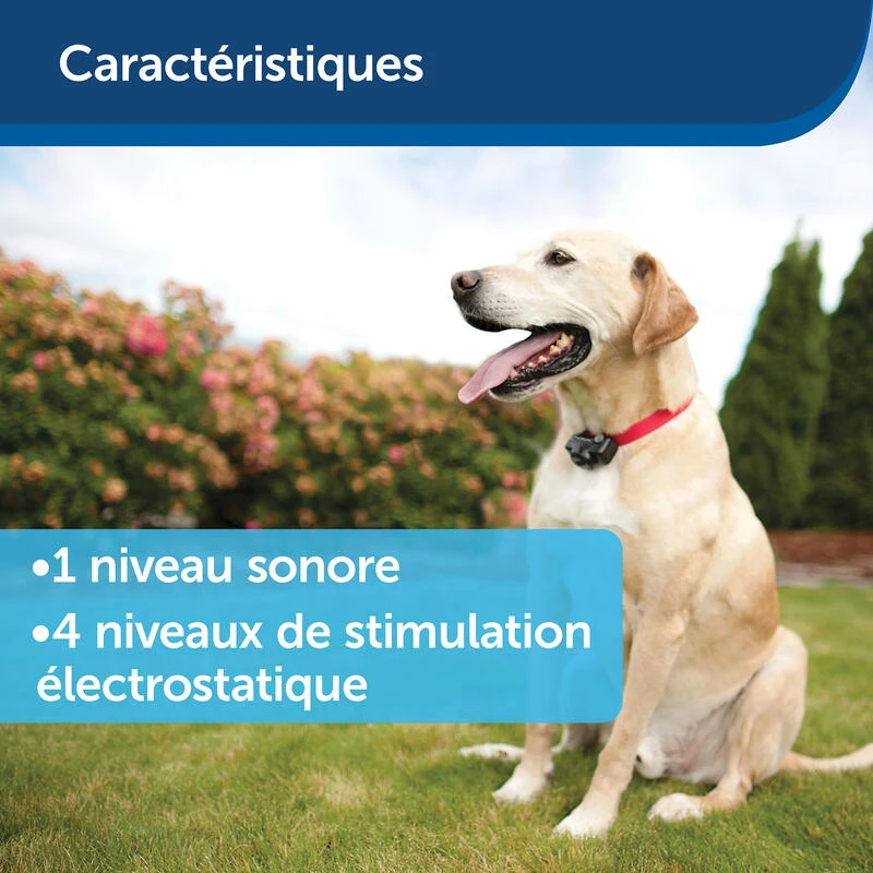 Clôture Anti-fugue Invisible Pour Chien Petsafe 9 Clôture Anti-fugue Invisible Pour Chien Petsafe – Image 9
