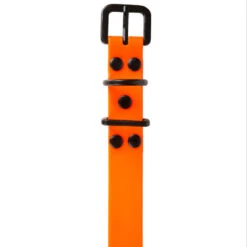 Collier Chien Orange Fluo 500 -Chasse Fournitures Boutique collier chien orange fluo 500 7
