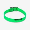 Collier Chien Vert Fluo 500