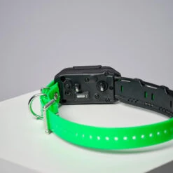 COLLIER SUPPLEMENTAIRE REPERAGE & DRESSAGE DOGTRA PATHFINDER V2. -Chasse Fournitures Boutique collier supplementaire reperage and dressage dogtra pathfinder v2 5