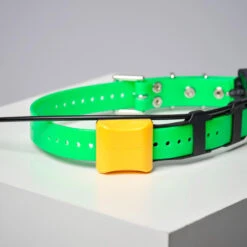 COLLIER SUPPLEMENTAIRE REPERAGE & DRESSAGE DOGTRA PATHFINDER V2. -Chasse Fournitures Boutique collier supplementaire reperage and dressage dogtra pathfinder v2 6