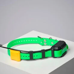 COLLIER SUPPLEMENTAIRE REPERAGE & DRESSAGE DOGTRA PATHFINDER V2. -Chasse Fournitures Boutique collier supplementaire reperage and dressage dogtra pathfinder v2 7