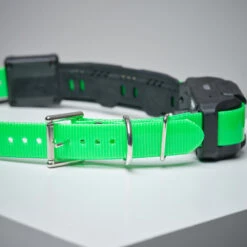 Collier Supplémentaire Repérage Et Dressage Pour Chien Dogtra Pathfinder -Chasse Fournitures Boutique collier supplementaire reperage et dressage pour chien dogtra pathfinder 2