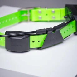 Collier Supplémentaire Repérage Et Dressage Pour Chien Garmin TT15X -Chasse Fournitures Boutique collier supplementaire reperage et dressage pour chien garmin tt15x 5