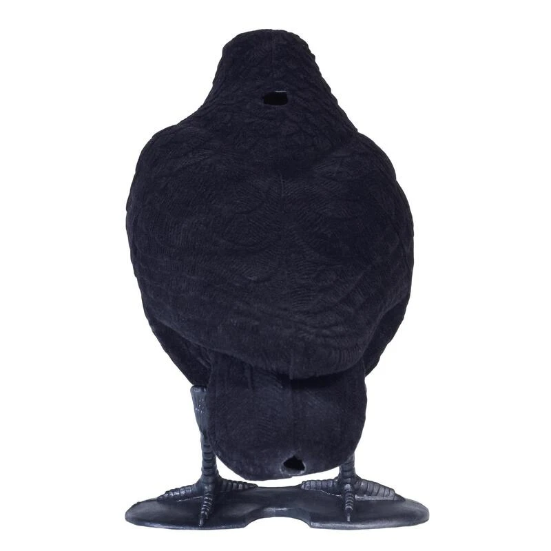 FORME CORBEAU FLOQUE 4 FORME CORBEAU FLOQUE – Image 4