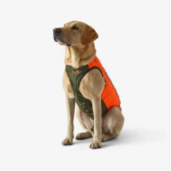 Gilet De Protection Pour Chien Supertrack -Chasse Fournitures Boutique gilet de protection pour chien supertrack 3