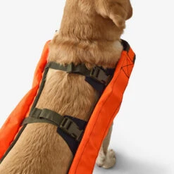 Gilet De Protection Pour Chien Supertrack -Chasse Fournitures Boutique gilet de protection pour chien supertrack 4