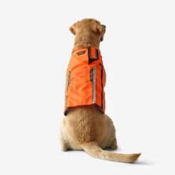 Gilet De Protection Pour Chien Supertrack -Chasse Fournitures Boutique gilet de protection pour chien supertrack 5