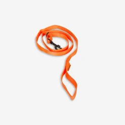 Laisse Chien Orange 100