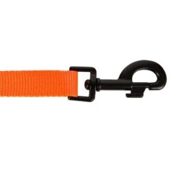 Laisse Chien Orange 100 -Chasse Fournitures Boutique laisse chien orange 100 5