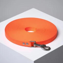 Longe Plate Pour Chien 15m Fluo Orange