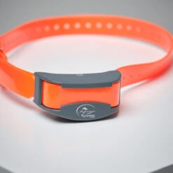 Pack Collier + Télécommande De Dressage Pour Chien Sportdog SD-875 -Chasse Fournitures Boutique pack collier telecommande de dressage pour chien sportdog sd 875 3